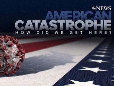 Artwork for American Catastrophe: How Did We Get Here?