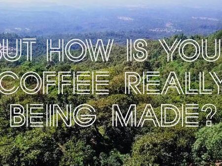 Artwork for Child labor on 'ethically' certified coffee farms
