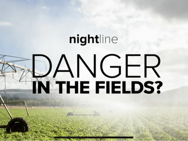 Artwork for Danger in the Fields?